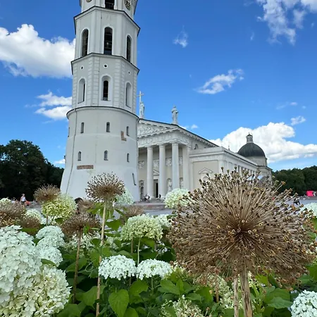 Heart Of With Little * Vilnius