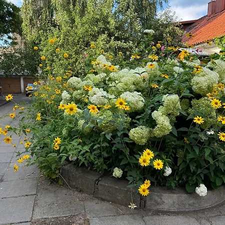 Heart Of With Little 公寓