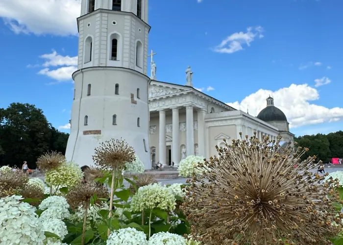 Heart Of With Little * Vilnius