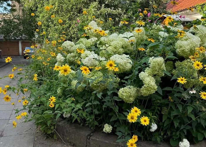 Heart Of With Little Apartment